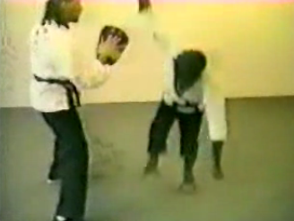 Monkey Does Karate